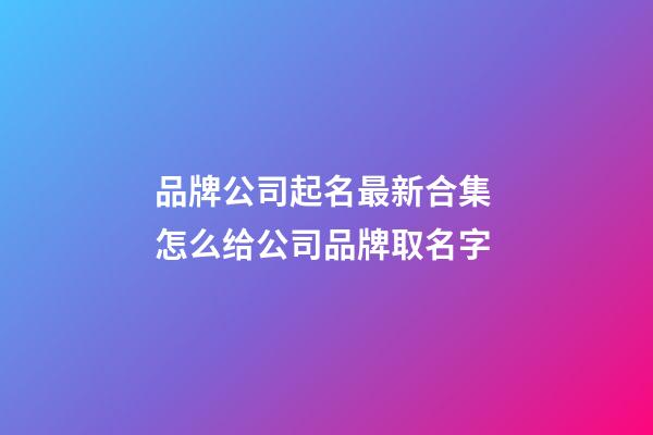 品牌公司起名最新合集 怎么给公司品牌取名字-第1张-公司起名-玄机派